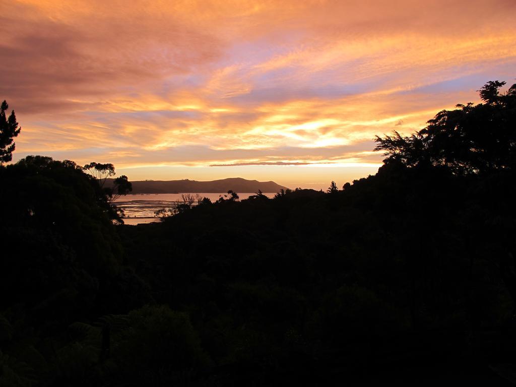 531号度假屋 Coromandel 客房 照片